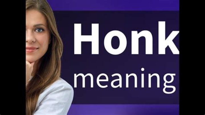 Whats the definition of honk?