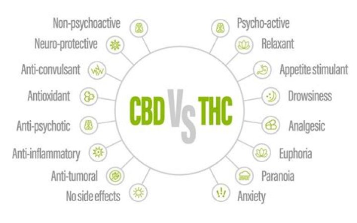 Whats the difference between cbd and weed?
