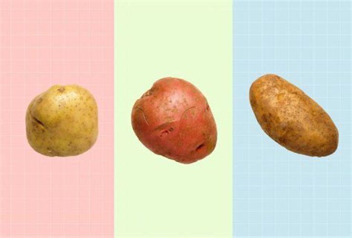 Whats the difference between red and gold potatoes?