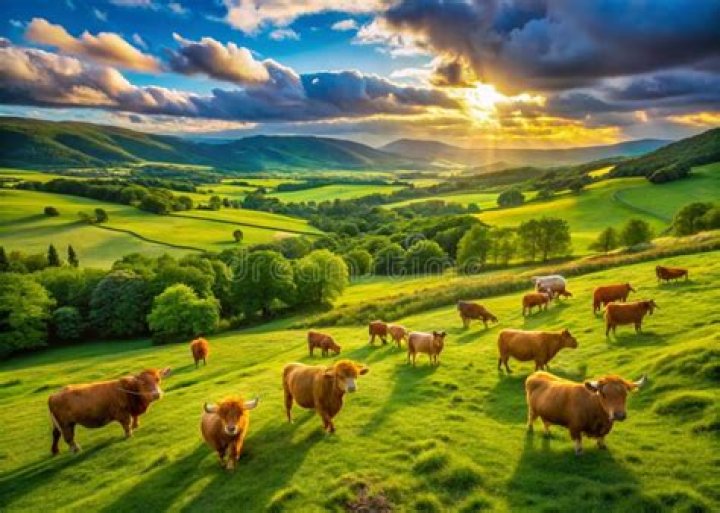 Whats the meaning of pastureland?
