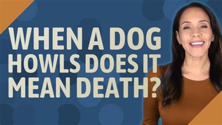 When a dog howls does it mean death?