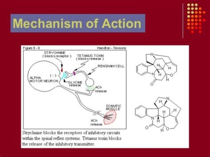 When did strychnine became popular?