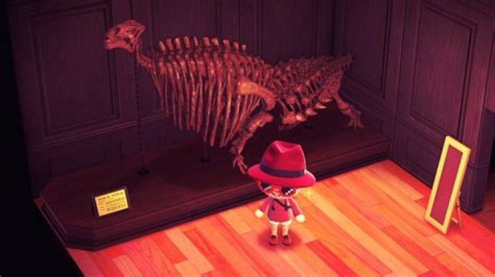 When do fossils spawn animal crossing?