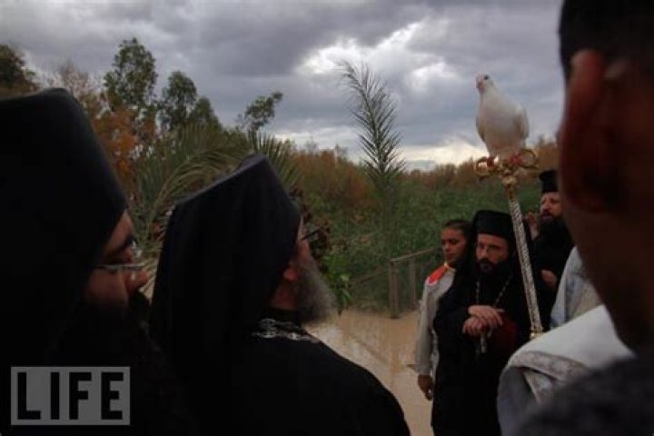 When doves are released what happens to them?