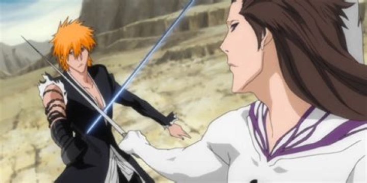 When ichigo fight aizen?