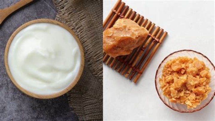 When is the best time to eat curd?