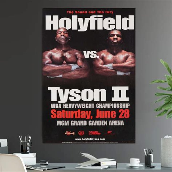 When is the tyson holyfield rematch?