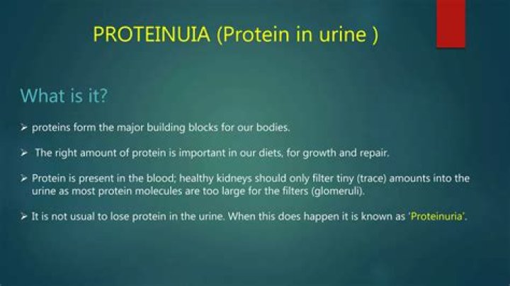 When protein is present in urine?