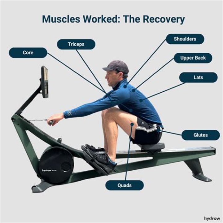 When rowing what muscles are used?