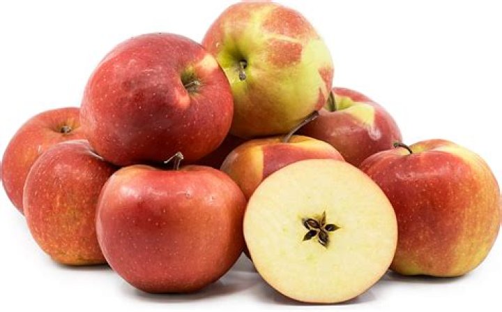 When to harvest gloster apples?