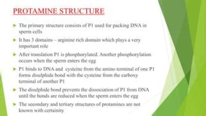 When to start protamine?