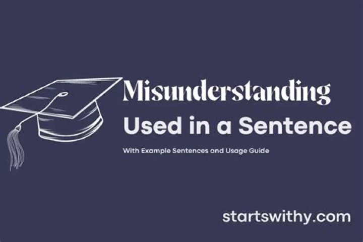 When to use misunderstanding?