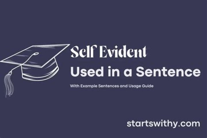 When to use self-evident in a sentence?