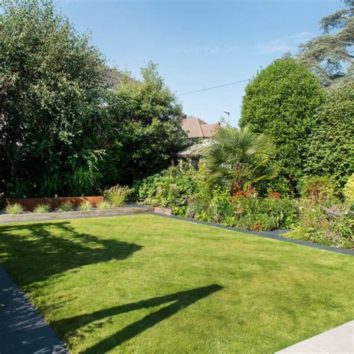 When to weedkiller lawn?