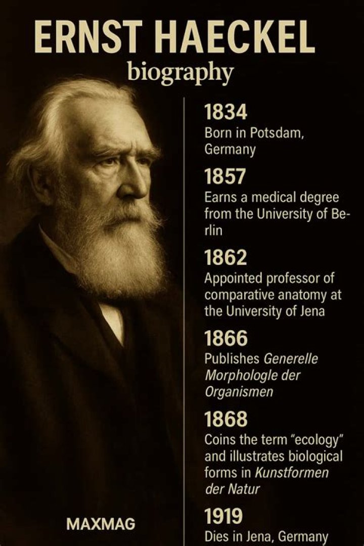 When was ernst haeckel born?