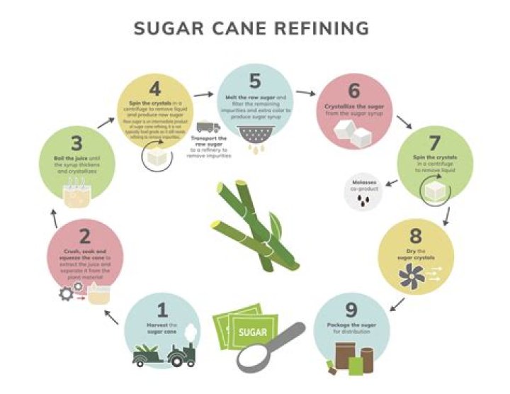 When was refined sugar made?