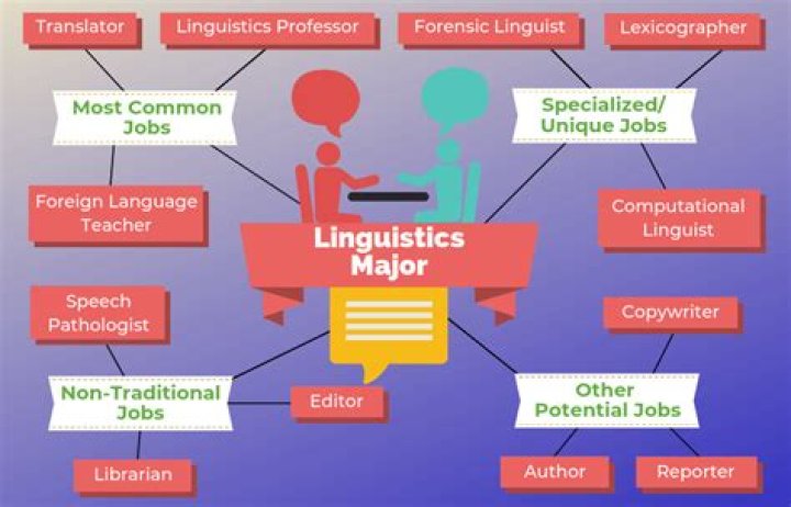 Where can linguists work?