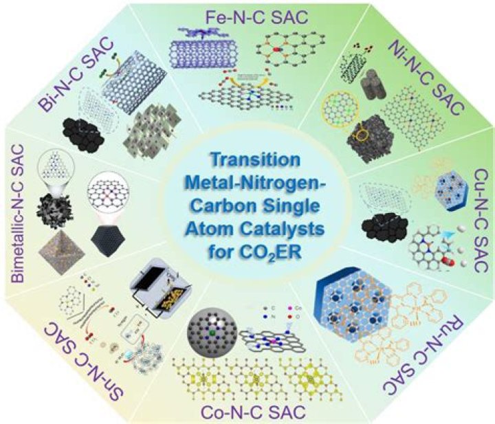 Where can transition metal catalyst be utilised?