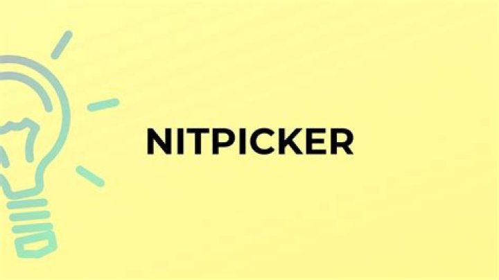 Where did the word nitpicker come from?