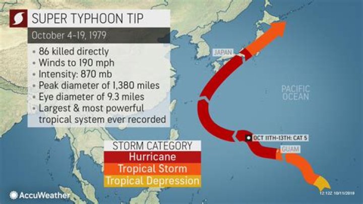 Where did tip top come from?