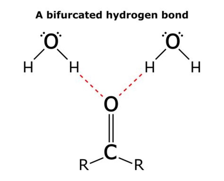 Where do hydrogens come from?