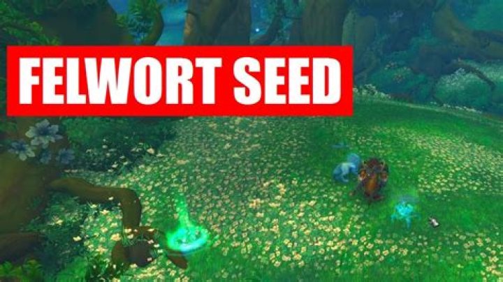 Where do i get felwort in wow?