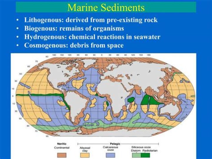 Where do lithogenous sediments come from?