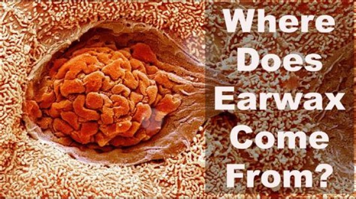 Where does earwax come from?