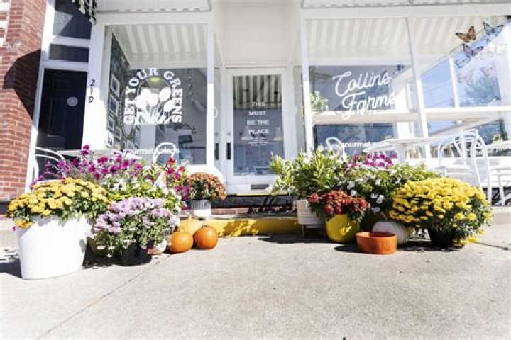 Where does lantz come from?