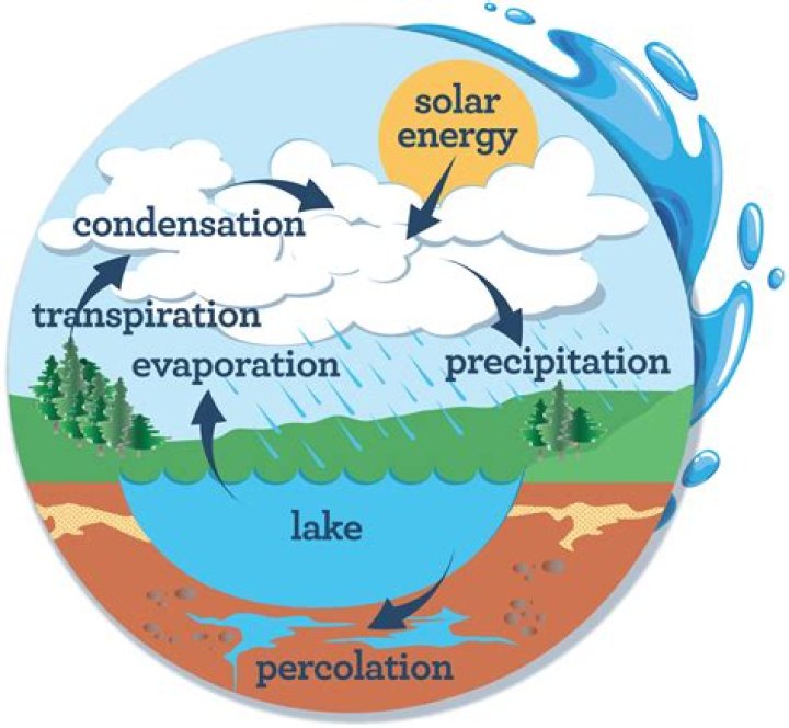 Where does most evaporation come from?