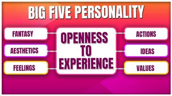 Where does openness mean?