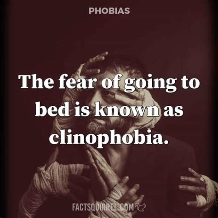 Where does the word clinophobia come from?