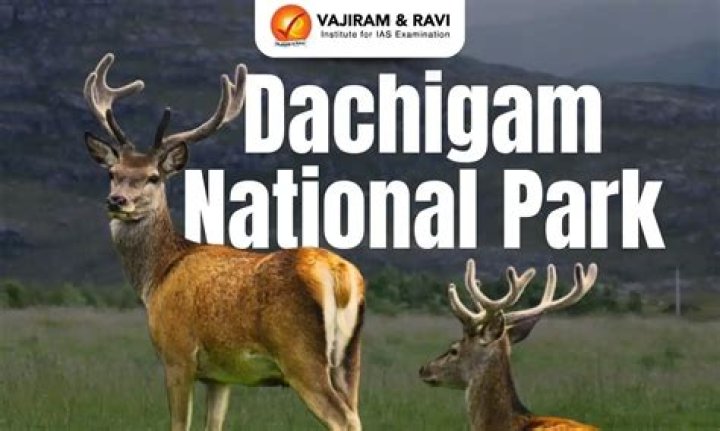 Where is dachigam national park situated?