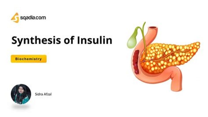 Where is insulin produced in the body?