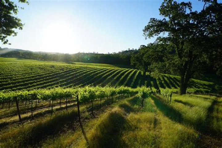 Where is ironstone vineyards?