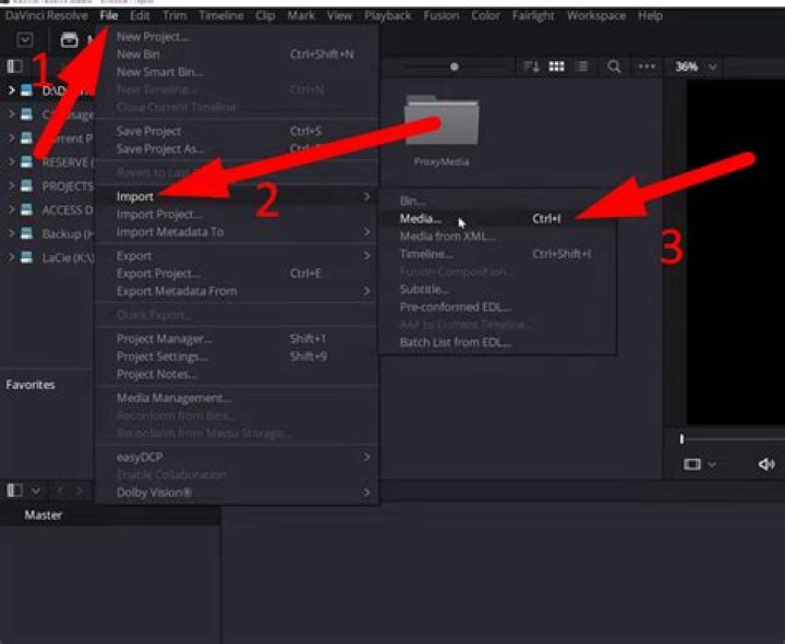 Where is optimized media stored davinci?