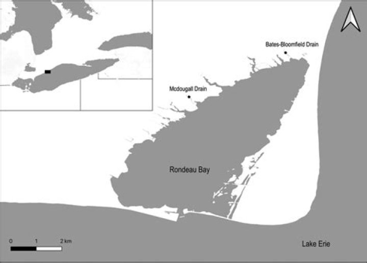 Where is rondeau bay?