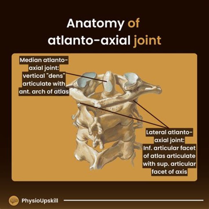Where is the atlanto-axial?