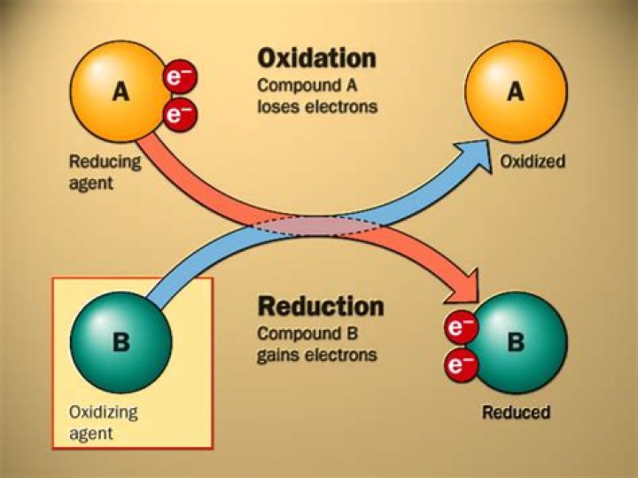 Where is the oxidation and reduction?