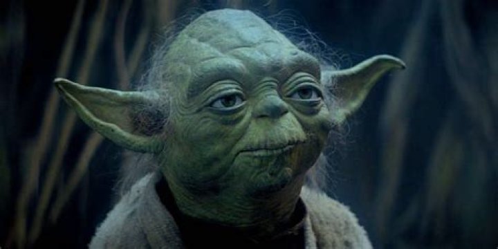 Where yoda come from?