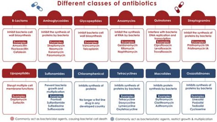 Which antibiotic is best for phlegm?