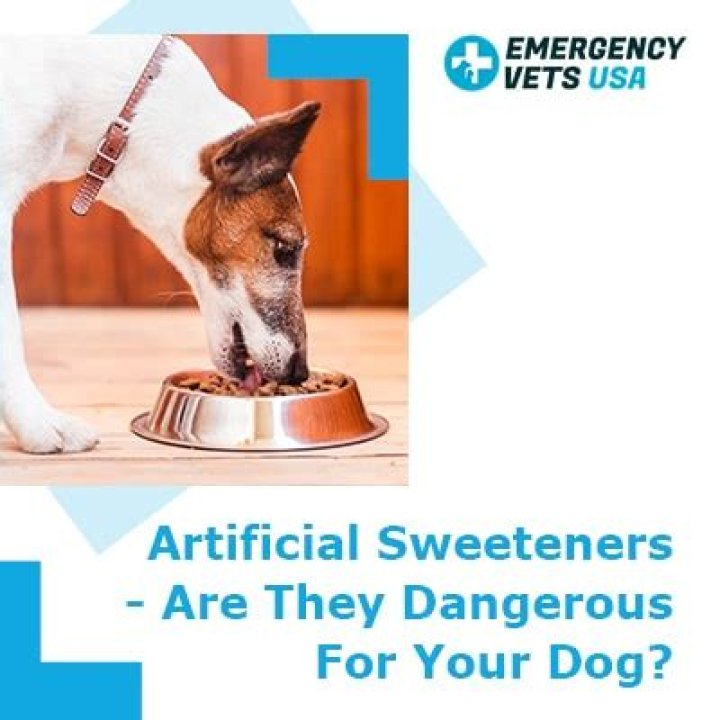 Which artificial sweeteners are bad for dogs?