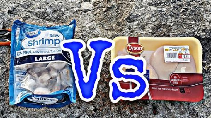 Which bait catches the most fish?