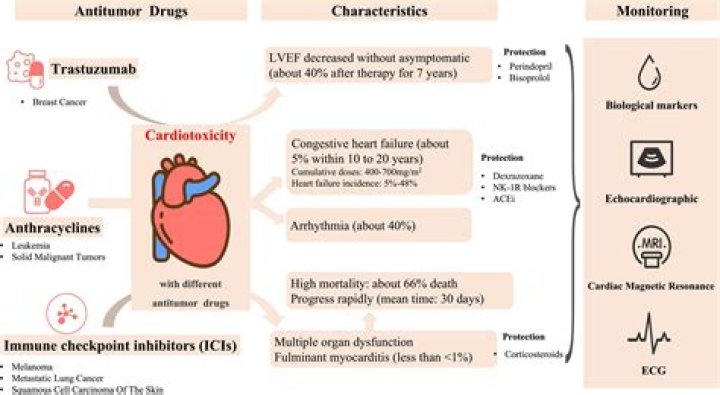 Which chemo drugs cause heart damage?