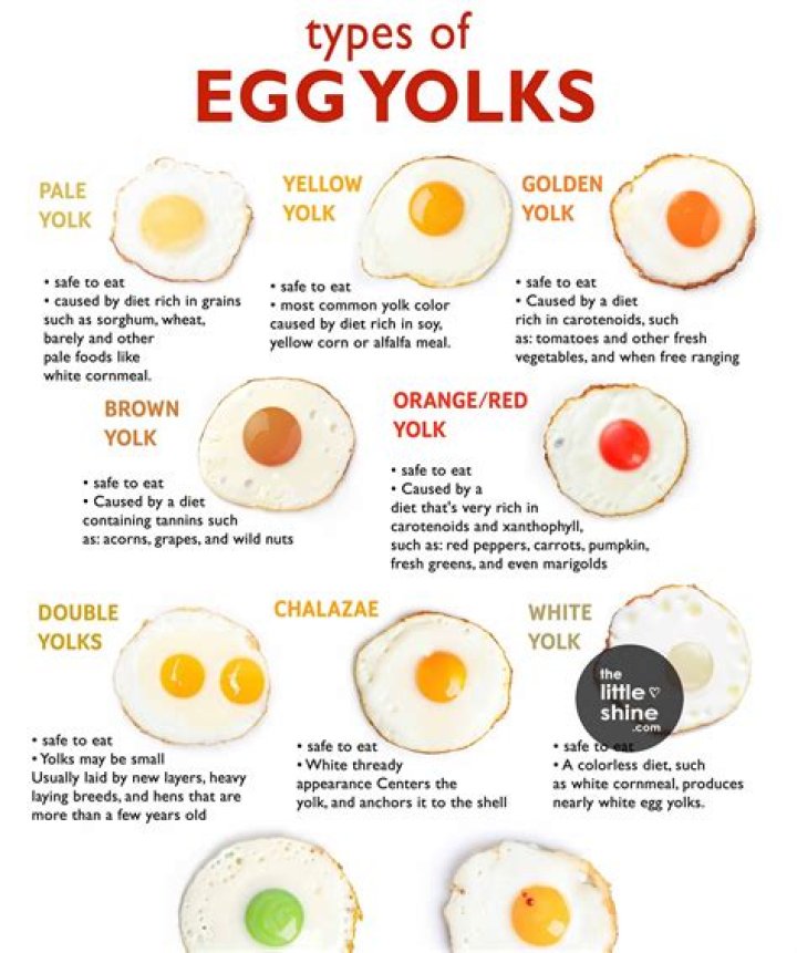 Which egg has 2 yolks?