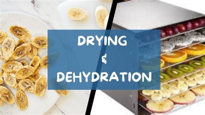 Which foods are dehydrating?