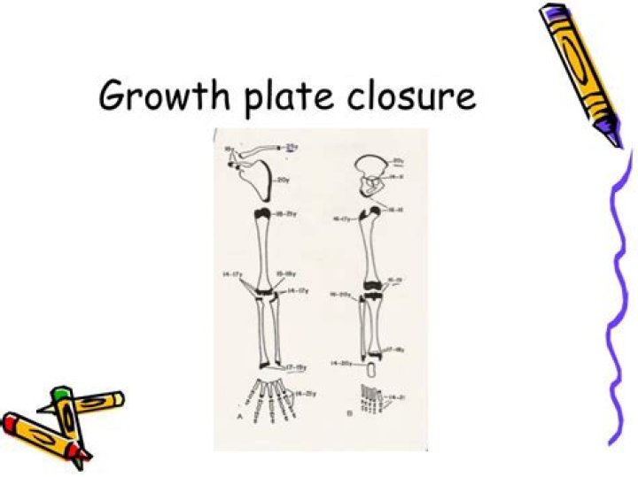 Which growth plates close first?