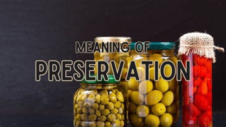 Which is the correct meaning of preservation of self?