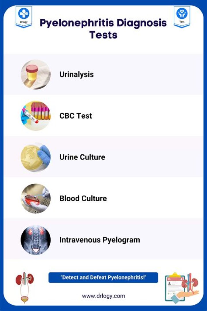 Which laboratory value supports a diagnosis of pyelonephritis?
