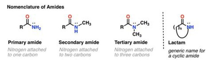 Which of the following are amides?
